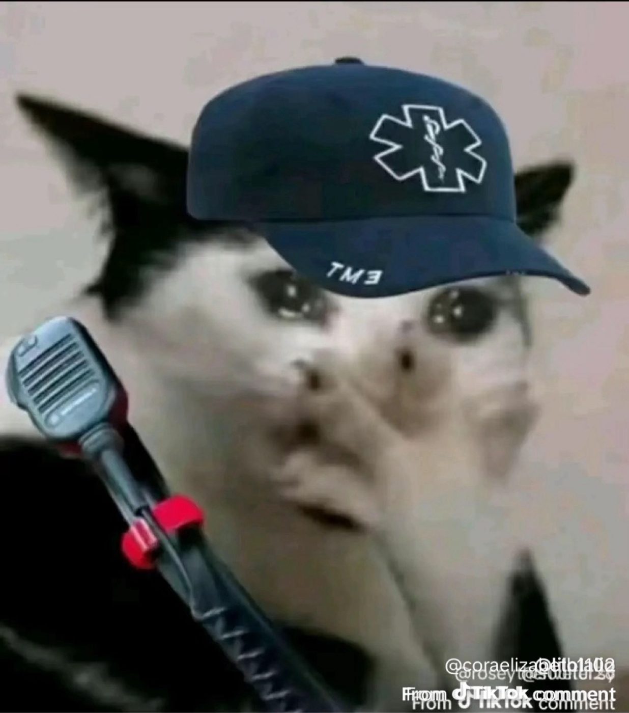 A possum meme wearing an EMT cap and holding a radio